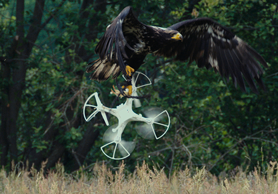 4.-Fondazione-Merz_Mircea-Cantor