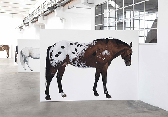 10_Fondazione 107_ lara nickel